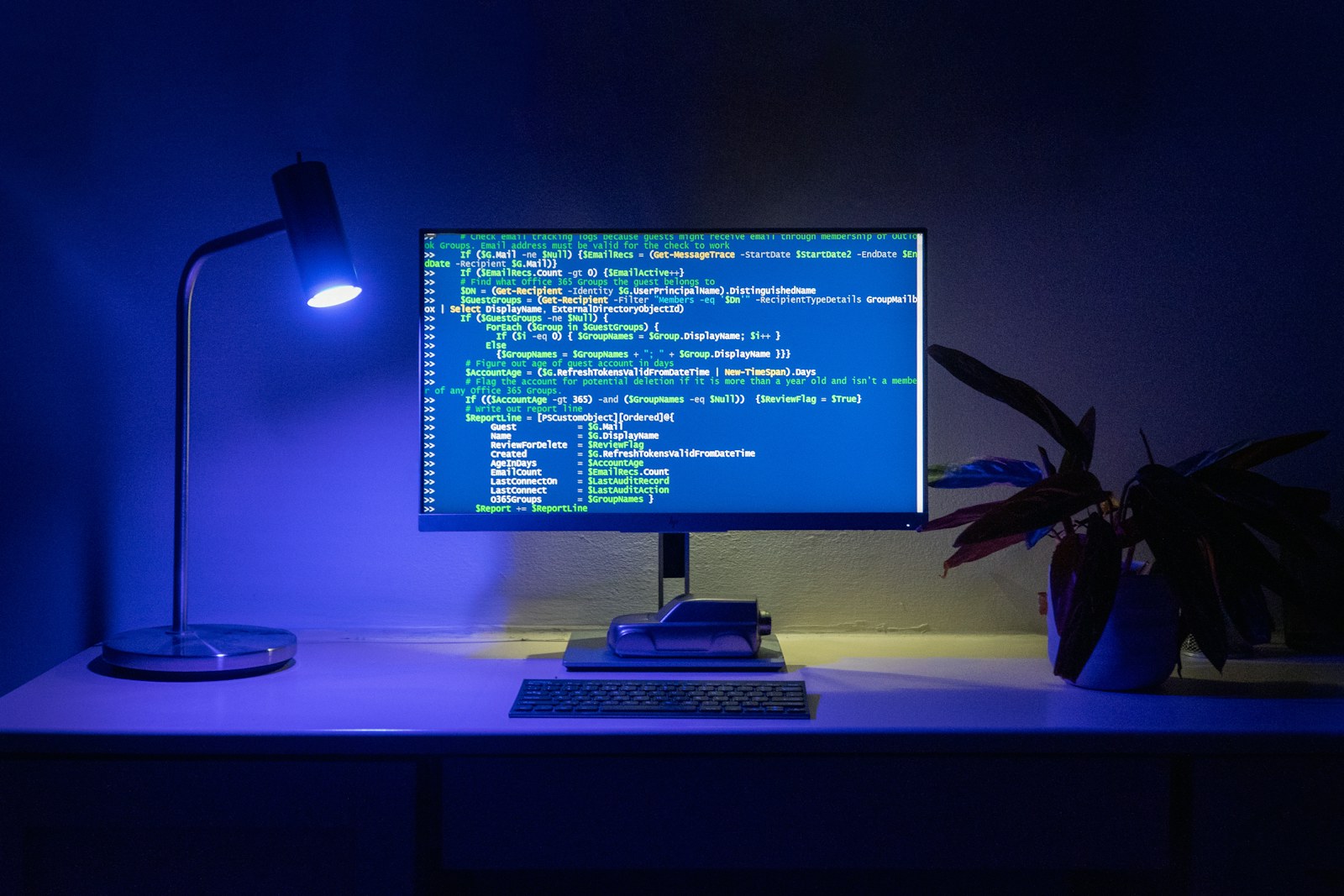 Code appears on a computer screen