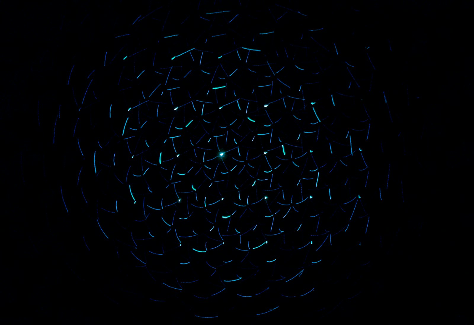 light decorations in dark area