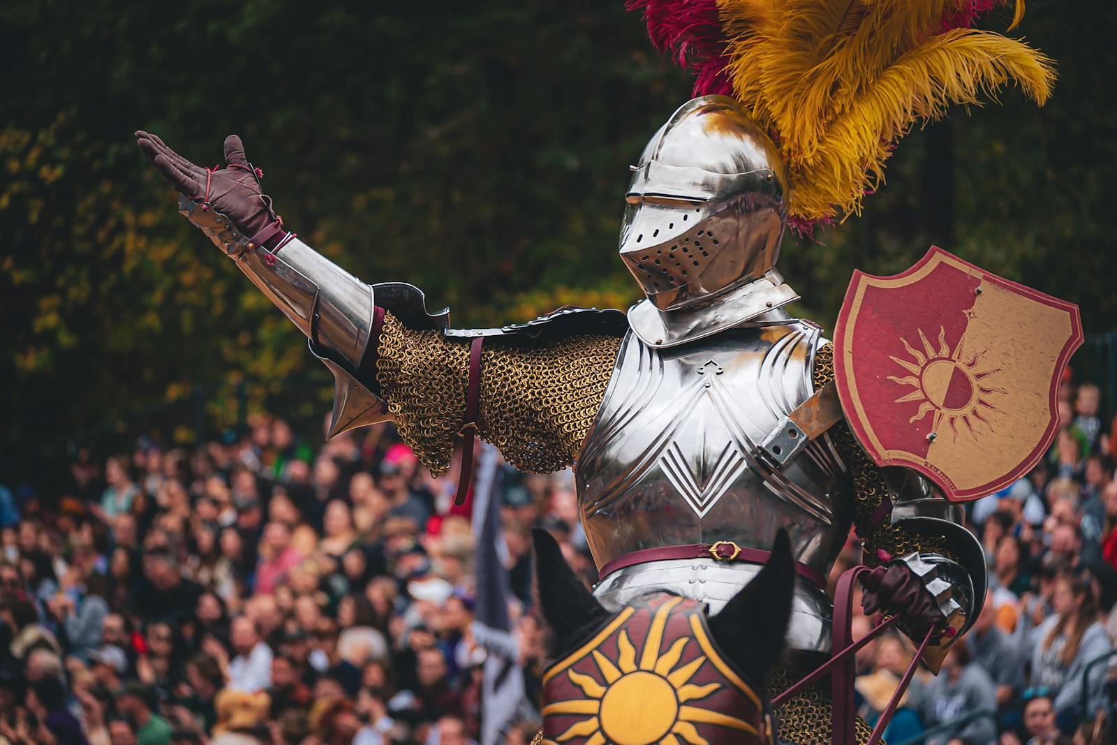 a man dressed in armor and holding a shield
