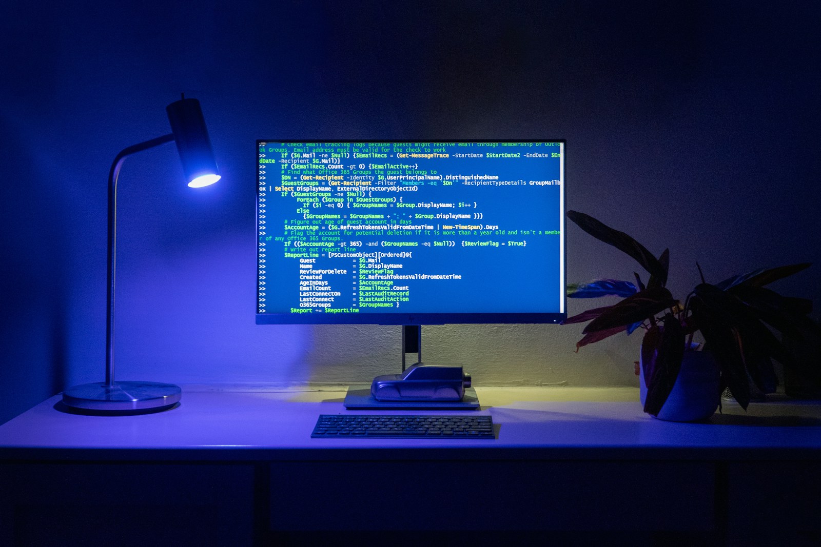 Code appears on a computer screen