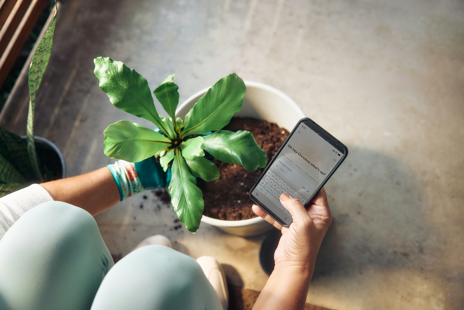 Person planting a houseplant and checking phone