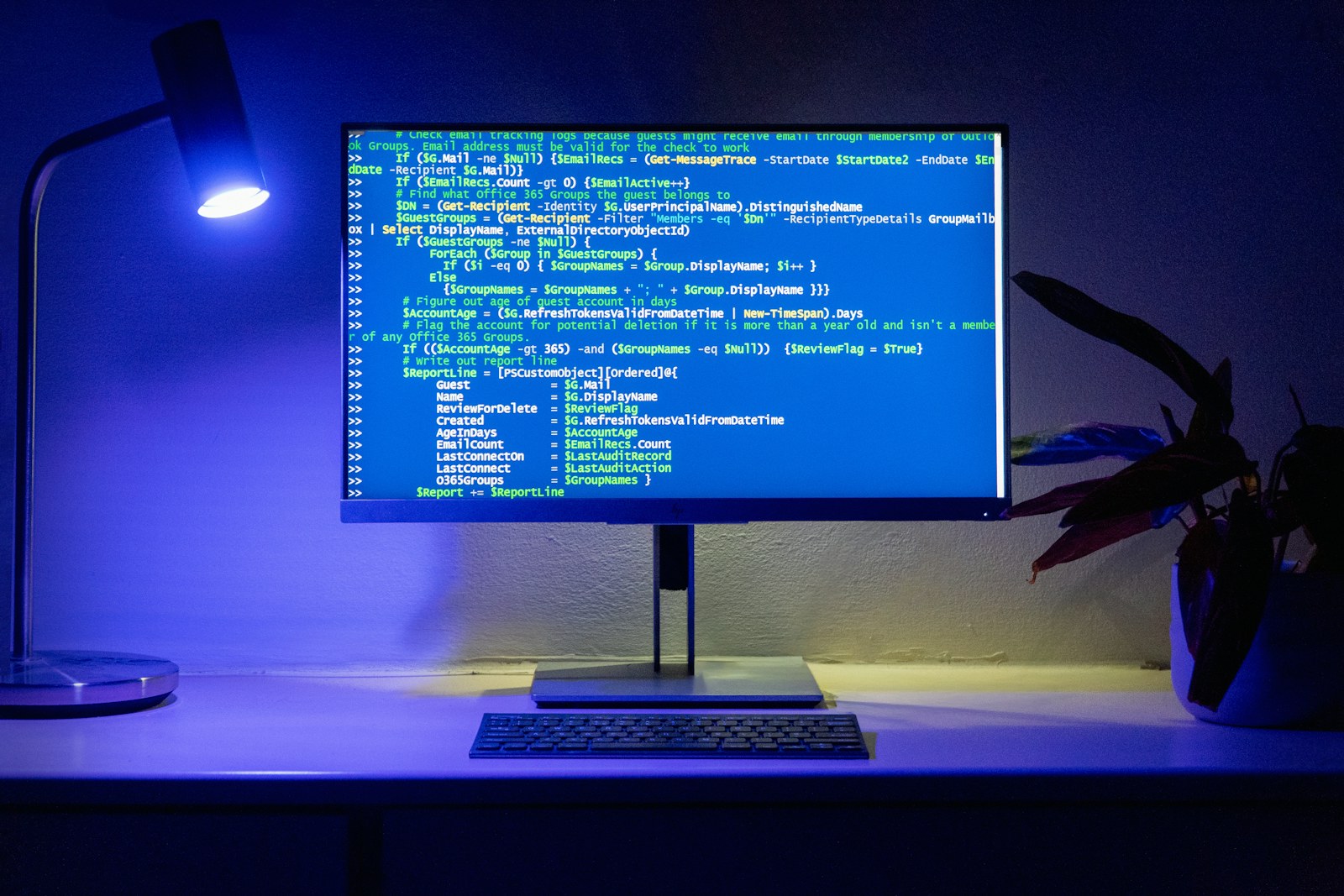 Code is displayed on a computer monitor