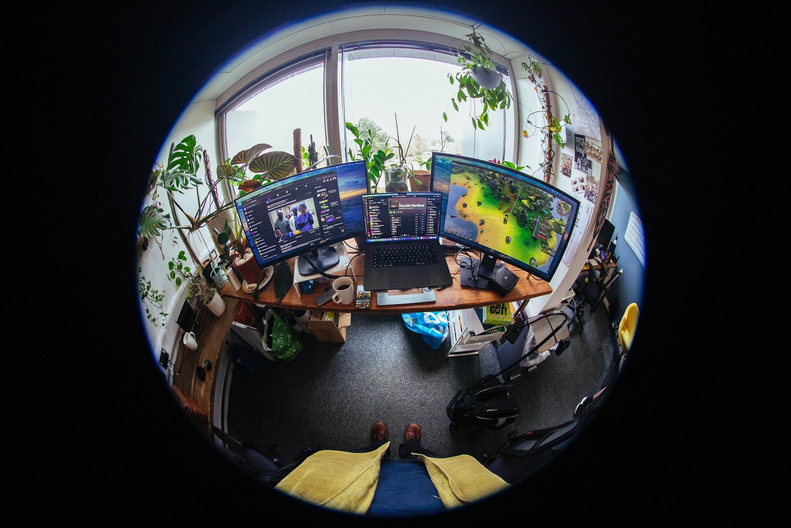 Desk with multiple computer monitors and plants