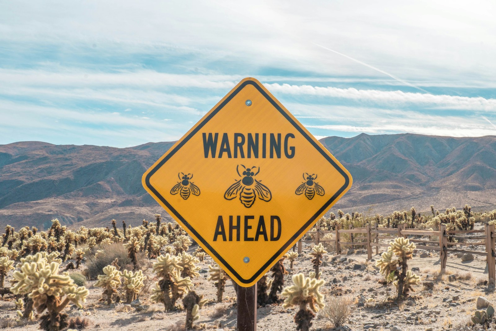 yellow and black road sign